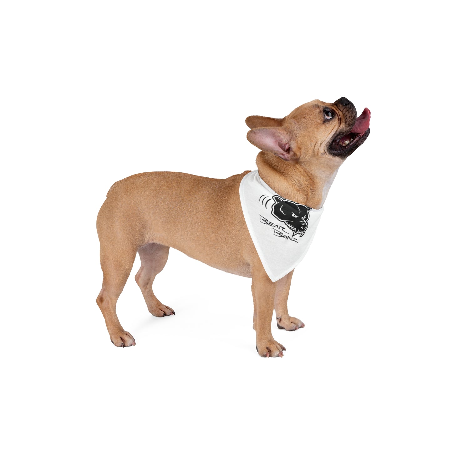 Bear Bonz  Pet Bandana for Dogs | Cute Dog Accessories |